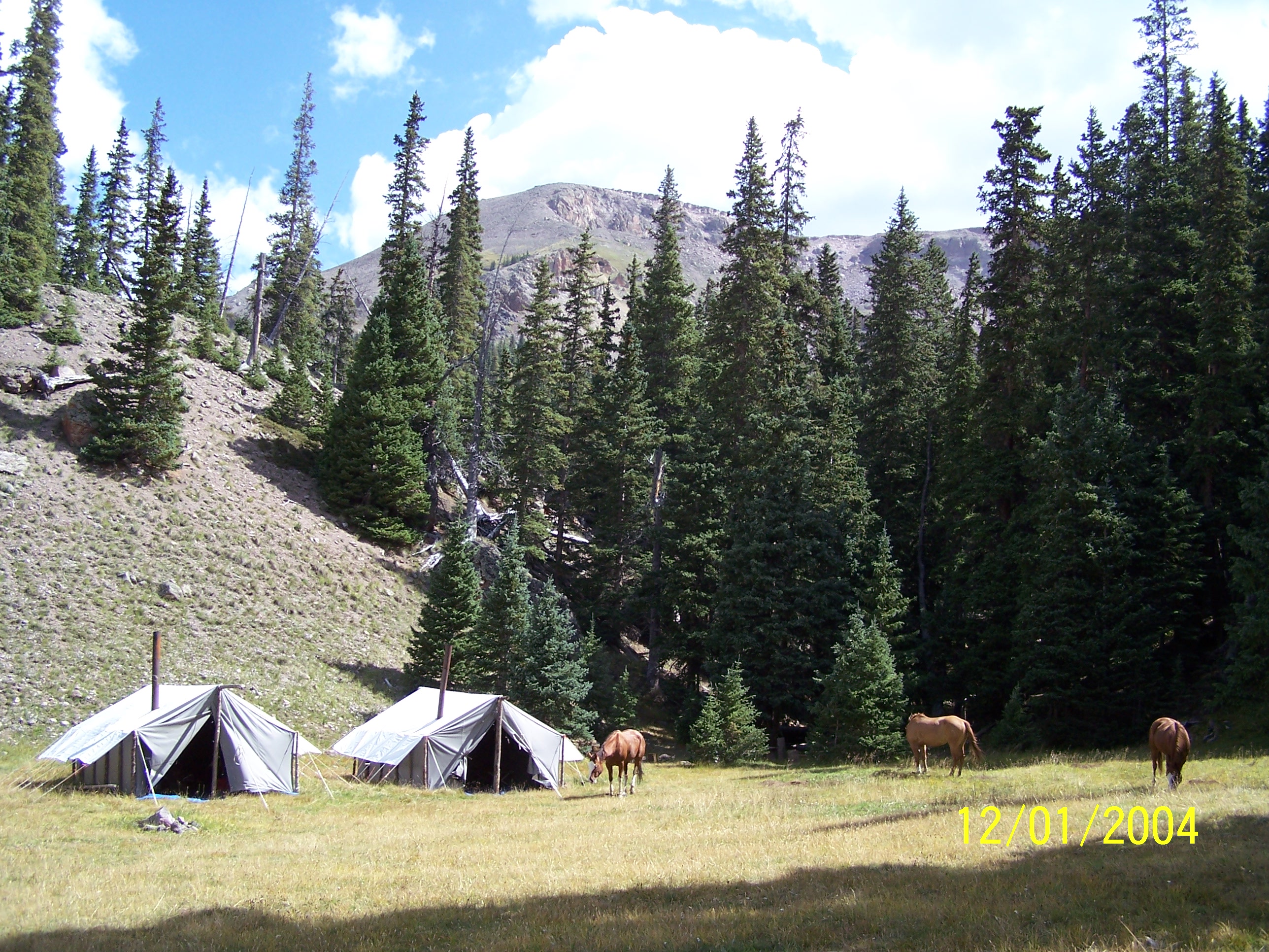 Merino Mountain Camp Colorado Elk and Mule Deer Hunting Action
