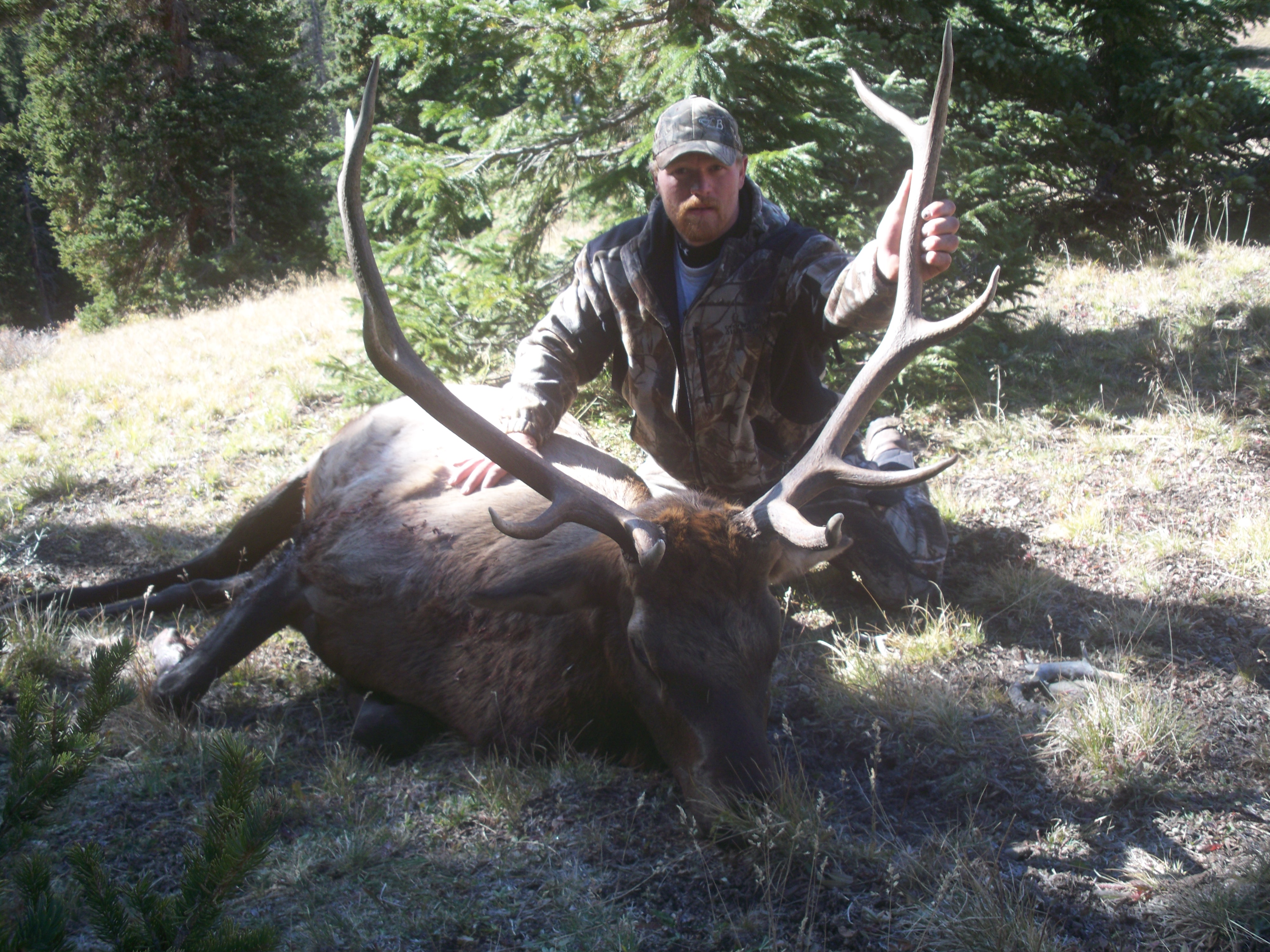 Archery Drop Camp Colorado Elk and Mule Deer Hunting Action Adventures