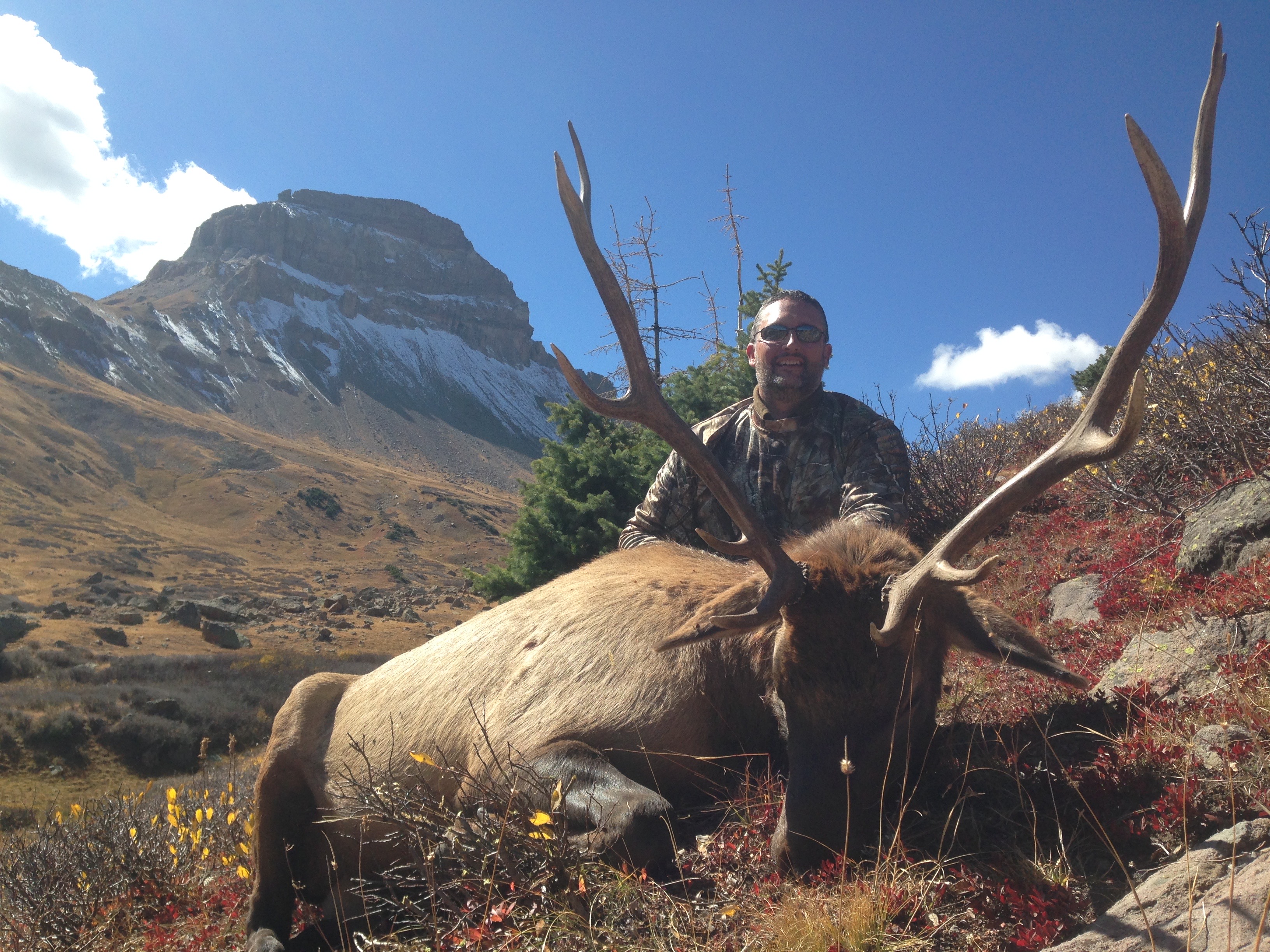 Photo Gallery Colorado Elk and Mule Deer Hunting Action Adventures