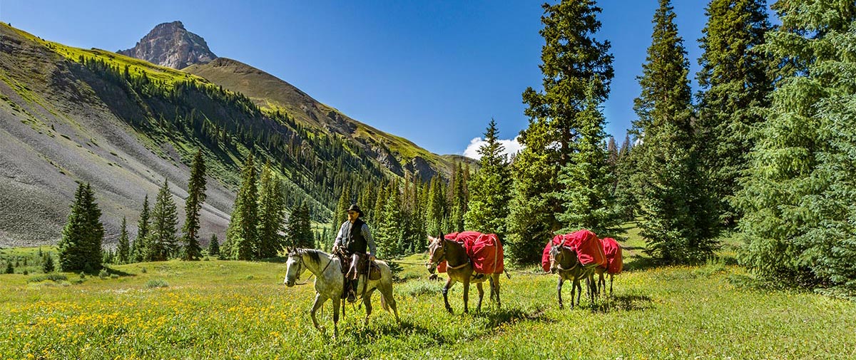 Wildernesspacktripshorseback Colorado Elk and Mule Deer Hunting